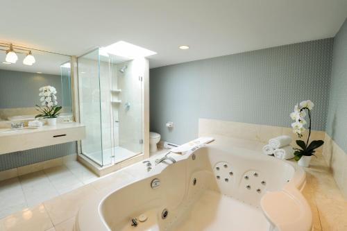 尼亚加拉瀑布尼亚加拉瀑布假日酒店的带浴缸和盥洗盆的大浴室