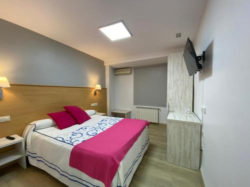 米格尔图拉圣胡安酒店的一间卧室配有一张大床和一台平面电视
