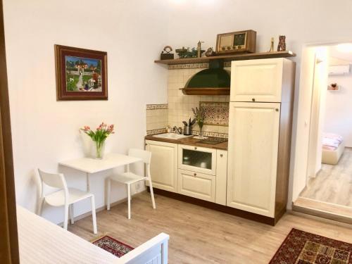 卢布尔雅那Apartments Maria的一间带桌子和冰箱的小厨房