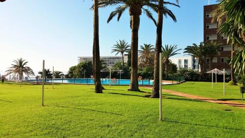 多列毛利诺斯Apartamento Playa Centro Vistas Mar的棕榈树公园和游泳池