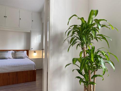 布宜诺斯艾利斯Departamento nuevo y luminoso en el centro de BA的一间卧室配有一张床和盆栽植物