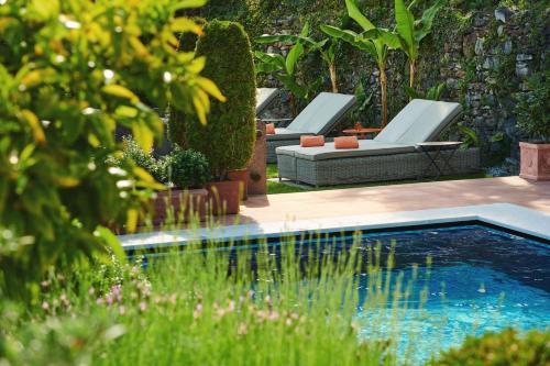 阿斯科纳Art Hotel Riposo的花园旁带2把躺椅的游泳池