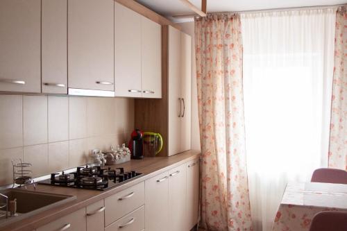 比斯特里察21 Cozy Apartament的厨房配有白色橱柜、水槽和窗户。