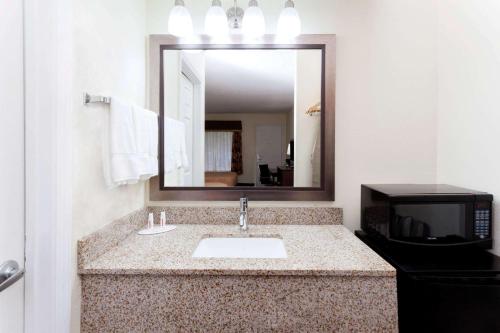 迪凯特迪凯特/ DNTN /亚特兰大地区速八酒店的一间带水槽、镜子和微波炉的浴室