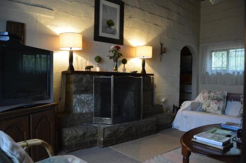 Henburg ParkManwood Lodge的客厅设有壁炉和电视。