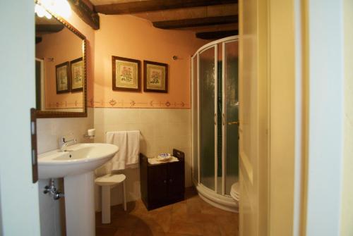 托迪Torre Sangiovanni Albergo e Ristorante da Rosary的一间带水槽和淋浴的浴室