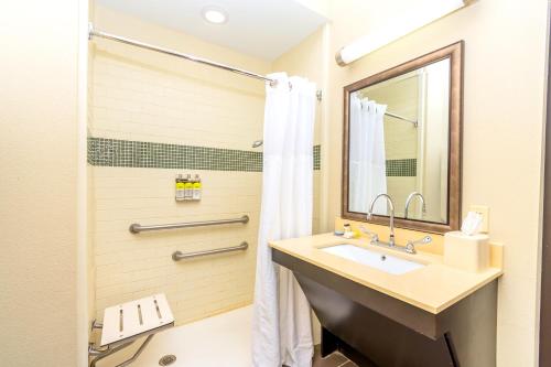 休斯顿休斯顿斯塔博瑞套房酒店  - IAH机场的一间带水槽和淋浴的浴室
