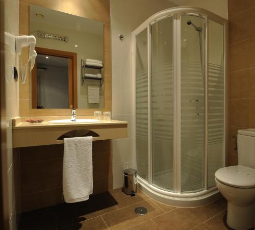 代米耶尔戴米尔酒店的带淋浴、盥洗盆和卫生间的浴室