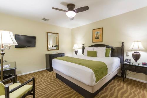 圣巴巴拉海边小村酒店的一间酒店客房,配有一张床和一台电视