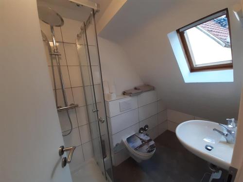 LederbergHeumaden hell und gemütlich eingerichtete 1-Zimmer Wohnung的带淋浴、卫生间和盥洗盆的浴室