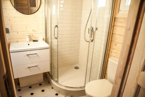 鲁恰内尼达YACHT CLUB WEJSUNY的带淋浴、盥洗盆和卫生间的浴室