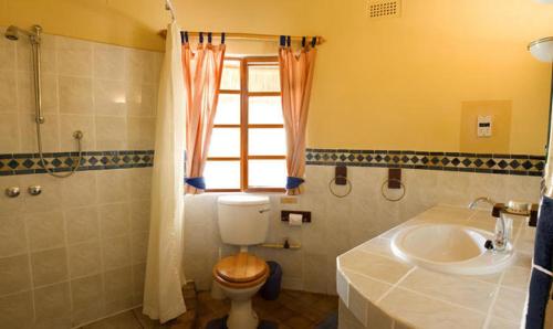 OdziMusangano Lodge的一间带卫生间和水槽的浴室