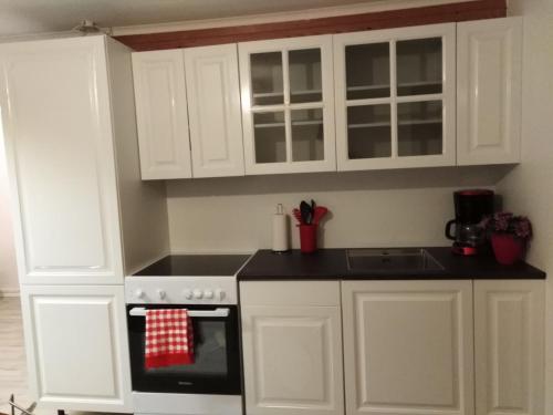 瑟沃格Apartments-BnB的厨房配有白色橱柜和炉灶烤箱。