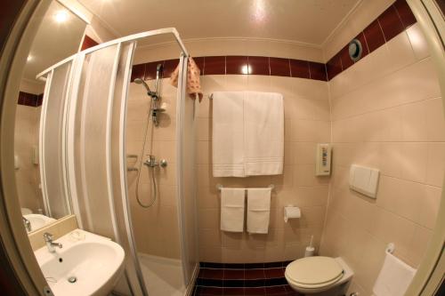 奥斯塔依托意雷都诺德酒店的带淋浴、卫生间和盥洗盆的浴室