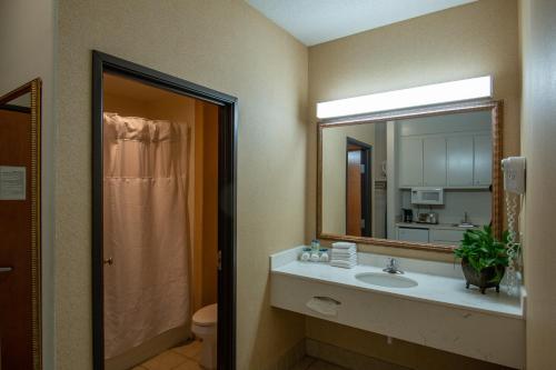 蒙克斯科纳酒店的一间浴室