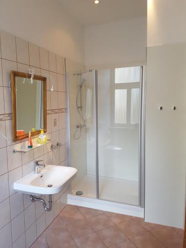 吕登沙伊德Schillers Hotel & Café - GARNI -的带淋浴和盥洗盆的浴室