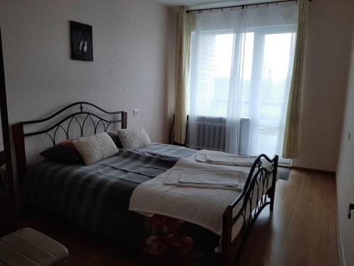 ĒrgļiErgli Apartment的一间卧室设有一张大床和大窗户