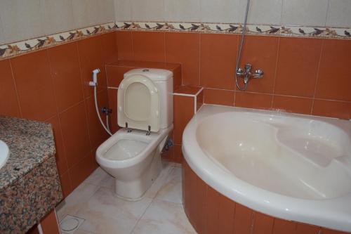 锡卜萨摩沙酒店的浴室配有卫生间、盥洗盆和浴缸。