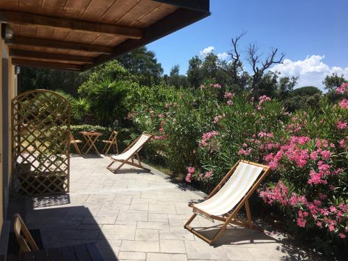 蓬塔迪亚B&B Tavolara的两把椅子坐在花边的庭院