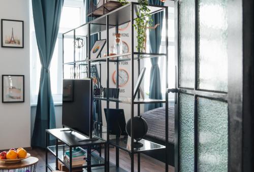 维也纳Design Apartment with King Size Bed - Six Minutes to Opera的一间设有书架和电视的房间