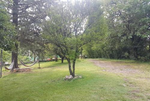 萨尔西普埃德斯Hamacas Serranas的草场中间的树