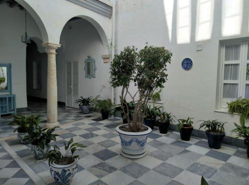 麦地那西多尼亚CASA ARCO DEL CAÑÓN - Casita con Encanto的建筑中种有盆栽植物的庭院