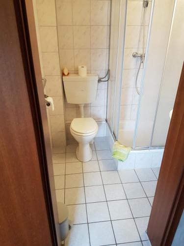 根廷Hotel Arkona的一间带卫生间和淋浴的小浴室