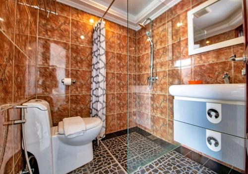 乔木提恩海滩Akvavit Living的一间带卫生间和水槽的浴室