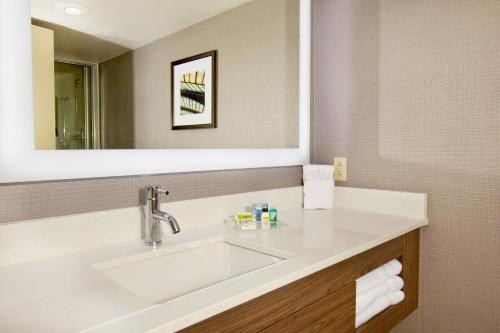 小石城小岩城假日酒店 - 总统府的一间带水槽和镜子的浴室