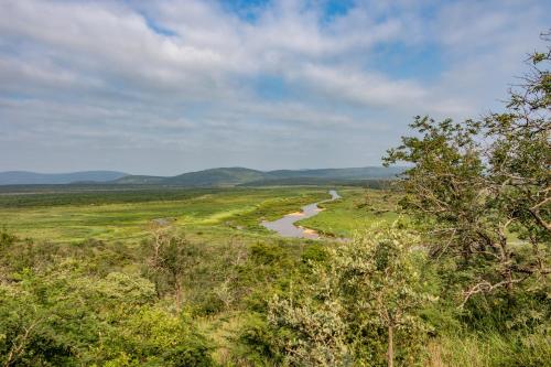 Pongola Game ReserveWhite Elephant Safaris的树木林立的河流景色