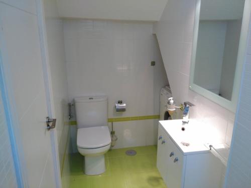 拉科鲁尼亚La Coruña, Mera apartamento con vistas espectaculares的一间带卫生间和水槽的小浴室