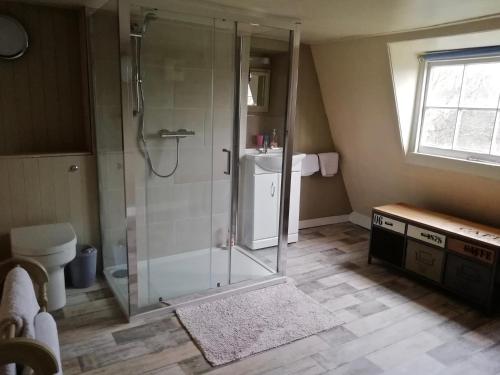 巴斯海豚之家酒店的带淋浴、卫生间和盥洗盆的浴室