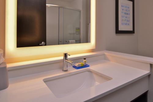 奥拉西Holiday Inn Express & Suites - Olathe West, an IHG Hotel的浴室设有白色水槽和镜子
