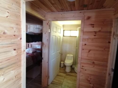 埃尔基斯科Cabaña sol y luna的木屋内的小浴室设有卫生间