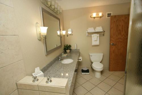 里弗顿里弗顿会议中心假日酒店的一间带水槽、卫生间和镜子的浴室