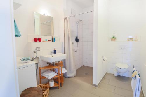 费马恩Appartements Villa Schwanenteich的一间带水槽、淋浴和卫生间的浴室