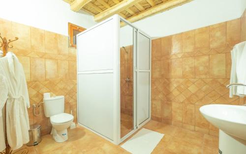 Aït IdaïrHotel Riad Bahammou的带淋浴、卫生间和盥洗盆的浴室