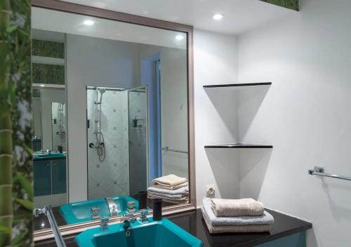厄唐萨雷Le "bassin pirogues"的浴室设有蓝色水槽和镜子