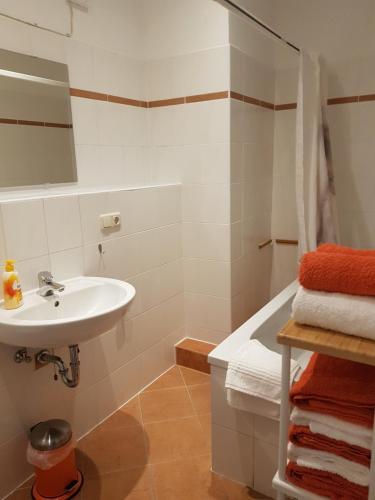 波茨坦Wohnung in direkter Innenstadtlage的浴室配有盥洗盆和浴缸。