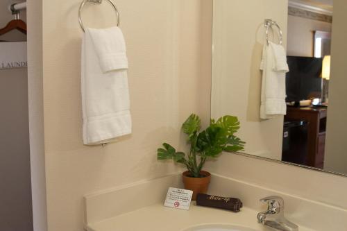 布斯贝港旗舰旅馆的浴室设有水槽、镜子和植物