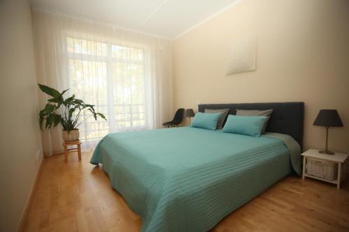 里加Cozy Home Apartment Kaivas, free parking, self check-in的一间卧室配有一张带蓝色床单的床和一扇窗户。