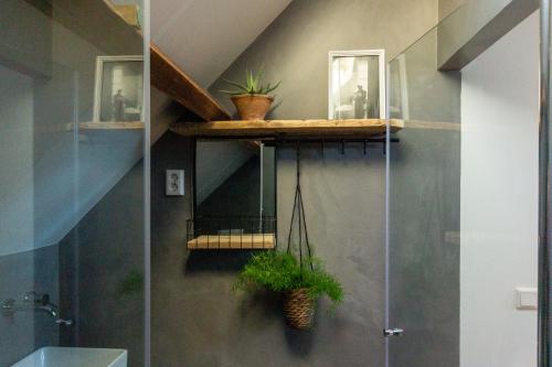 阿讷默伊登B & B 'Droom in de polder de Suite met prive sauna的浴室设有淋浴和植物架子