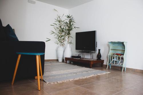 圣维森特Casa do Tio的客厅配有电视、椅子和地毯。