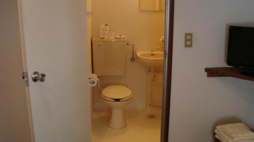 白马村格雷伯爵酒店的一间带卫生间和水槽的浴室