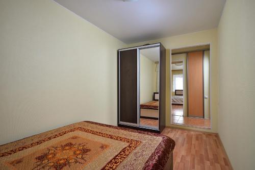 鄂木斯克apartment Karla Marksa 31的一间带镜子的卧室和一张地毯床
