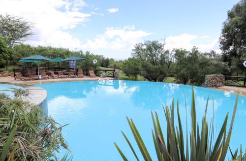 奈瓦沙Francolin Cottage at Great Rift Valley Lodge & Golf Resort Naivasha的一个带椅子和遮阳伞的大型蓝色游泳池