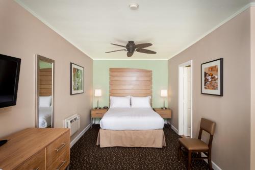 圣地亚哥Holiday Inn Express and Suites La Jolla - Windansea Beach, and IHG Hotel的一间卧室配有一张床和吊扇