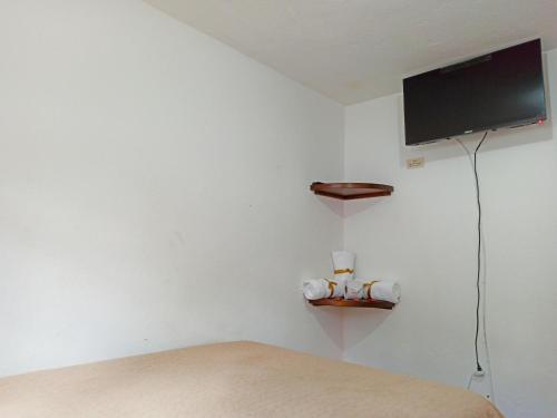 莱瓦镇ALMANIK的客房设有一张床和一台平面电视。