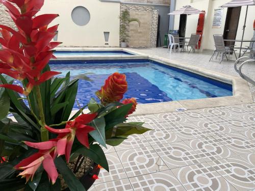巴兰基亚Hotel Puerta de Oro的一座鲜花盛开的游泳池