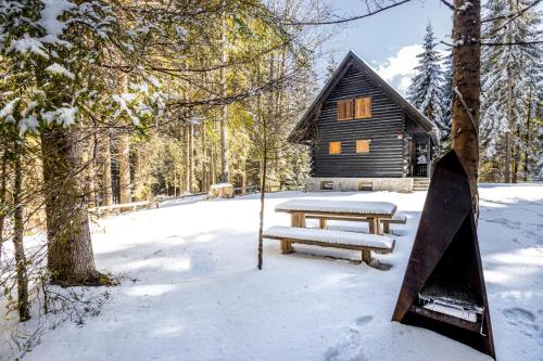 GoreljekCosy Lodge Pokljuka的小屋前雪地野餐桌